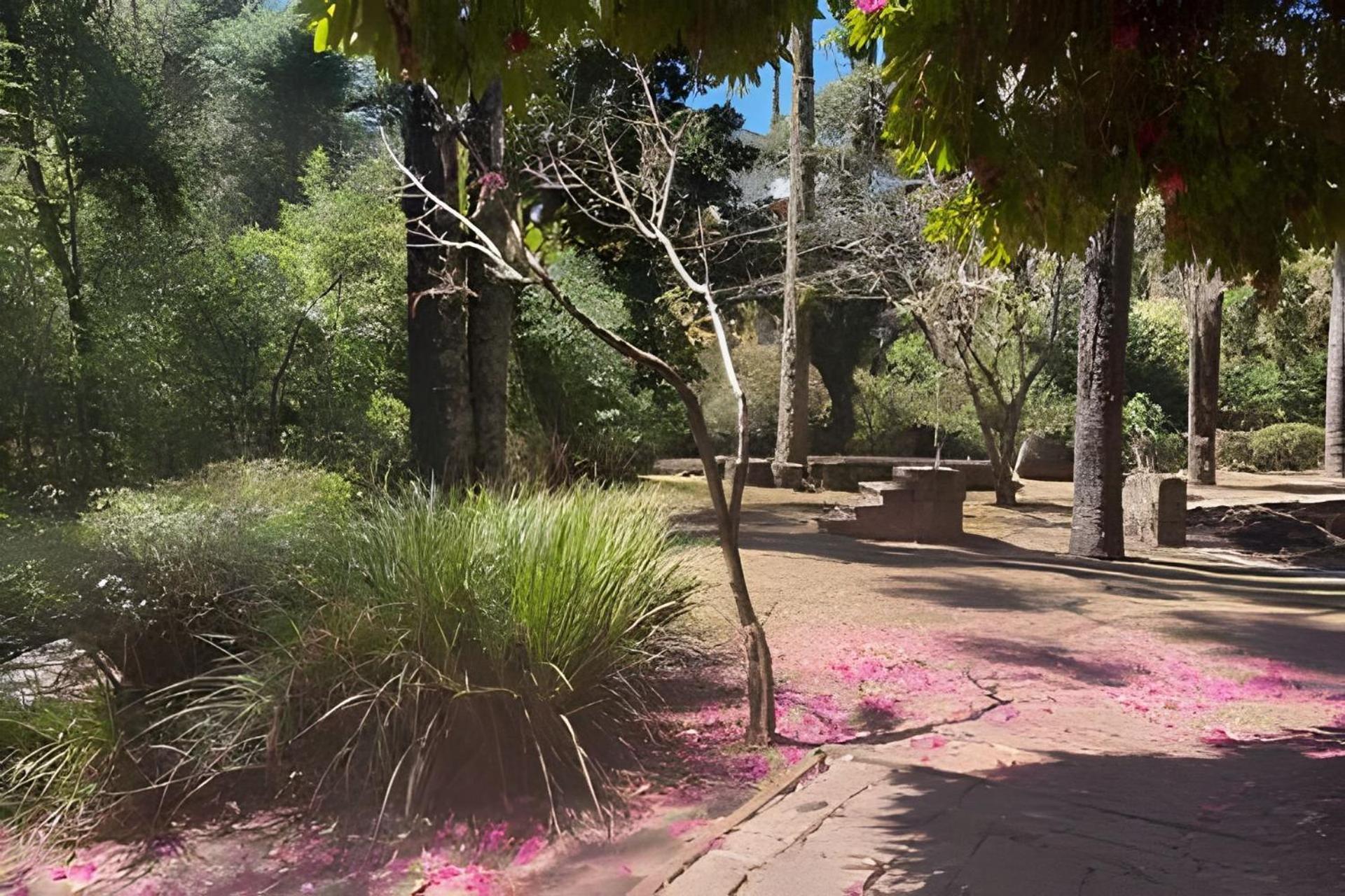 Chale Regiao Turistica - Conforto Na Natureza Campos do Jordão מראה חיצוני תמונה